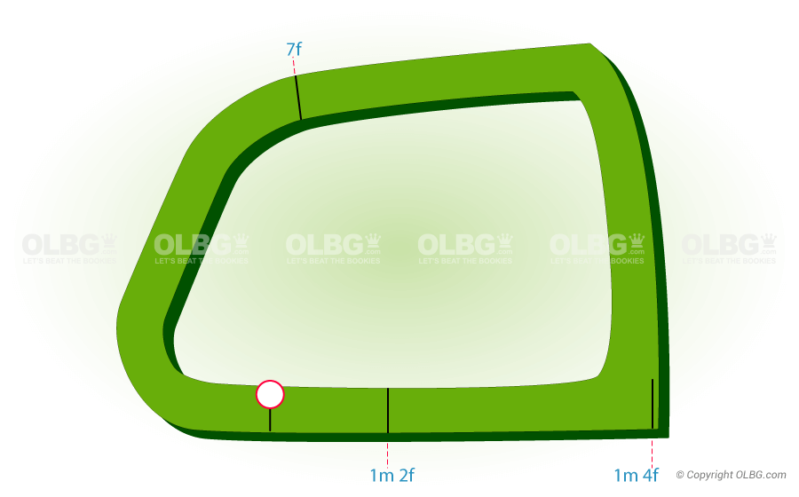 Roscommon Flat Racecourse Map