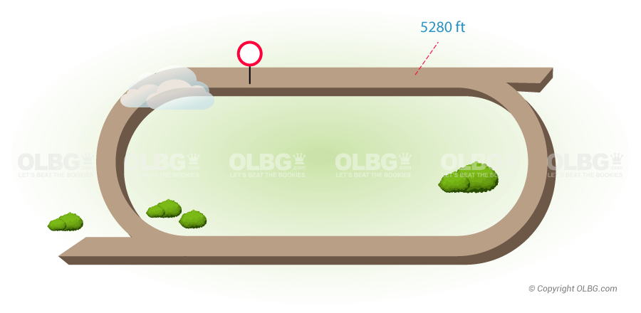 Prairie Meadows Racing Tips - OLBG.com